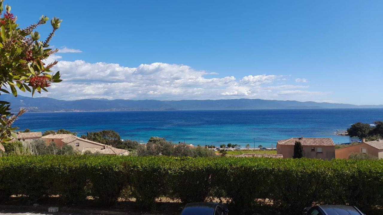 Marinella, Vue Mer Panoramique, Superbe T2 Plage A 150 M أجاكسيو المظهر الخارجي الصورة